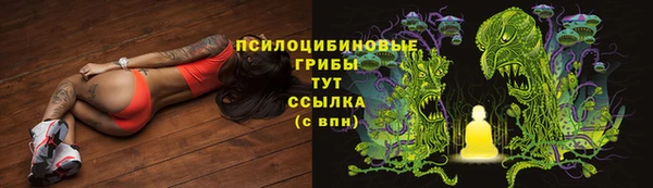 дурь Аркадак