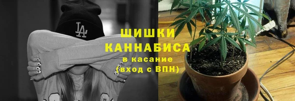 дурь Аркадак