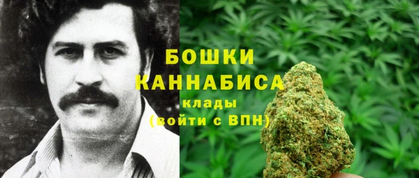 spice Арсеньев