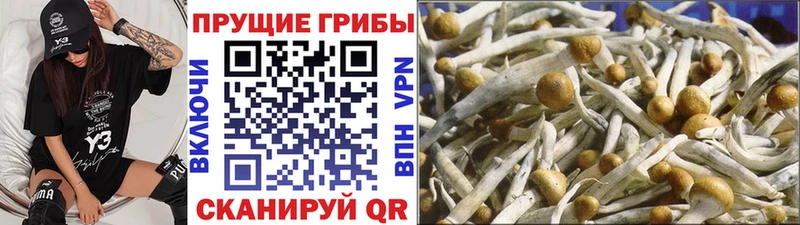 Галлюциногенные грибы MAGIC MUSHROOMS  Майский 